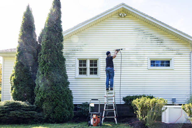 Best Driveway Pressure Washing  in Zolfo Springs, FL